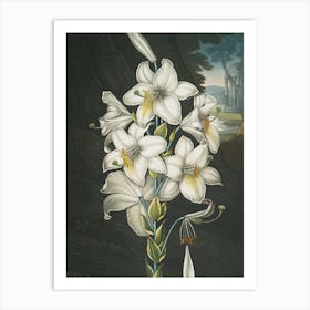 Lily Of The Valley 28 Art Print