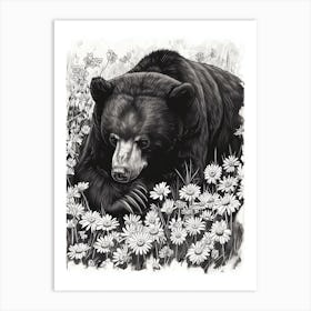 Malayan Sun Bear Resting In A Field Of Daisies Ink Illustration 4 Art Print