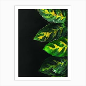 Green Leaves On Black Background 1 Art Print