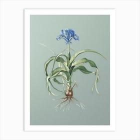 Vintage Iris Scorpiodes Botanical Art on Mint Green n.0156 Art Print