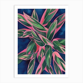 Calathea Triostar 2 Art Print