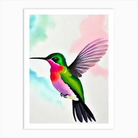 Hummingbird Watercolour Bird Art Print