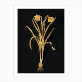 Vintage Narcissus Candidissimus Botanical in Gold on Black n.0192 Art Print
