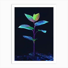 Plant Sprouting From The Ground Art Print