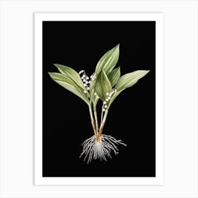 Vintage Lily of the Valley Botanical Illustration on Solid Black Art Print