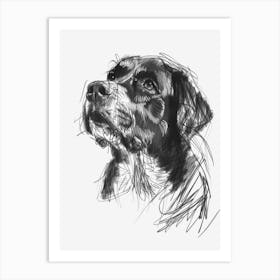 Entlebucher Mountain Dog Charcoal Line 4 Art Print