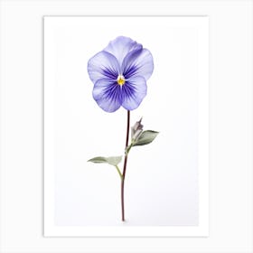 Pressed Wildflower Botanical Art Common Blue Violet Viola 1 Art Print