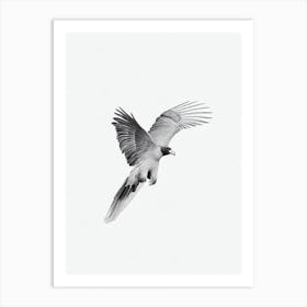 California Condor B&W Pencil Drawing 3 Bird Art Print