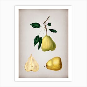 Vintage Pear Botanical on Parchment n.0324 Art Print