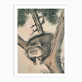 Raccoon In A Tree Art Print