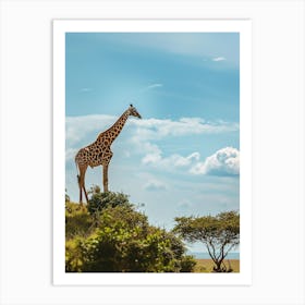 Giraffe In The Savannah 3 Art Print