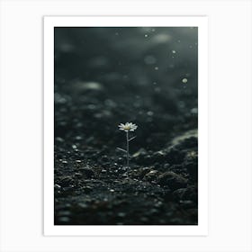 Flower In The Dark 12 Art Print