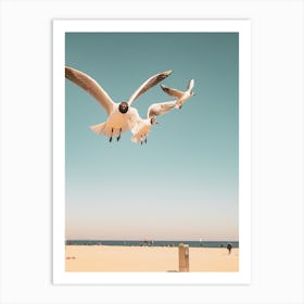 Seagulls Flying Over The Beach Art Print