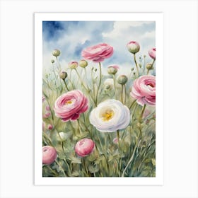 Ranunculus Art Print