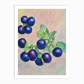 Huckleberry 1 Vintage Sketch Fruit Art Print