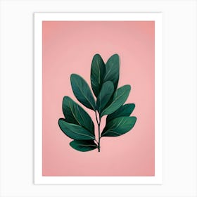 Green Leaf On Pink Background Art Print