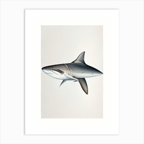 Dusky Shark Vintage Art Print