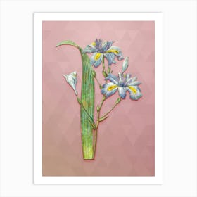 Vintage Butterfly Flower Iris Fimbriata Botanical Art on Crystal Rose n.0140 Art Print
