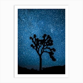 Joshua Tree National Park Stars Art Print