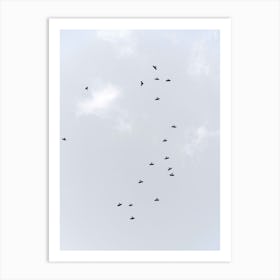 Birds Flying South Art Print