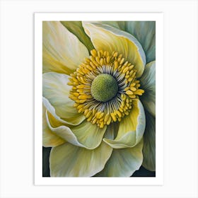 Anemone Flower Art Print