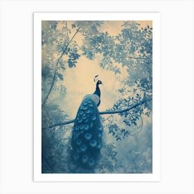 Peacock In A Tree Turquoise Cyanotype Inspired  3 Art Print