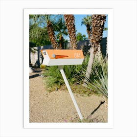 Palm Springs Mailbox on Film Art Print