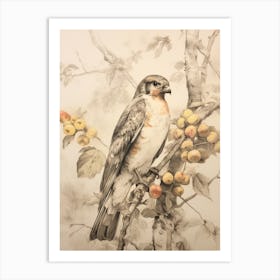 Storybook Animal Watercolour Falcon 1 Art Print