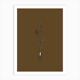 Vintage Autumn Squill Black and White Gold Leaf Floral Art on Coffee Brown n.0887 Art Print