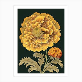 Marigold 3 Floral Botanical Vintage Poster Flower Art Print
