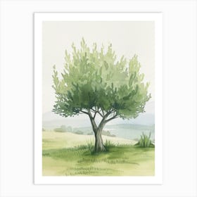 Olive Tree Atmospheric Watercolour Painting 3 Art Print