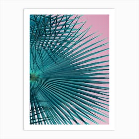Blue-green palm leaves and pink sky 1 Art Print