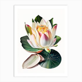 American Lotus Decoupage 4 Art Print