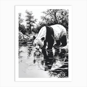 Giant Panda Drinking From A Tranquil Lake Ink Illustration 2 Art Print