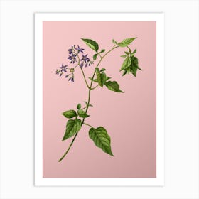 Vintage Bittersweet Botanical on Soft Pink n.0204 Art Print