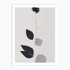 Blackberry Blossom Wildflower Simplicity Art Print