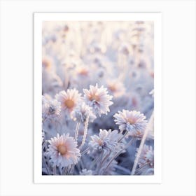 Frosty Botanical Asters 1 Art Print