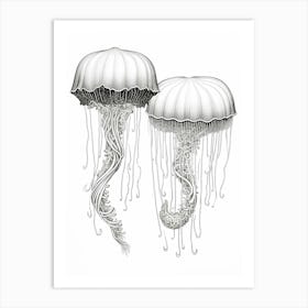 Mauve Stinger Jellyfish Drawing 1 Art Print