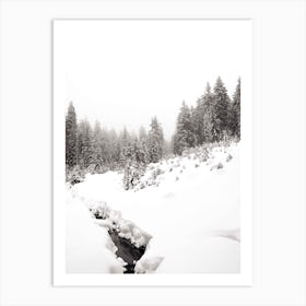 Black River White Winter Forest Art Print