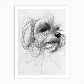 Maltese Dog Charcoal Line 2 Art Print