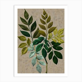 Hibiscus Leaves Art Print