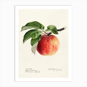 Apple Print Art Print