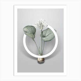 Vintage Cardwell Lily Minimalist Botanical Geometric Circle on Soft Gray n.0378 Art Print