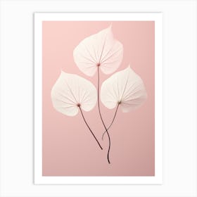 White Ginkgo Leaves Art Print