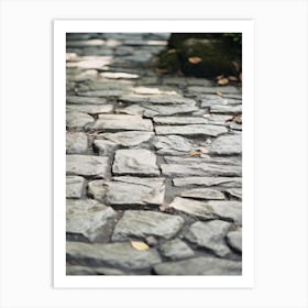 Stone Path In The Park Art Print