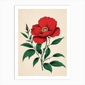 Red Poppy Flower Art Print