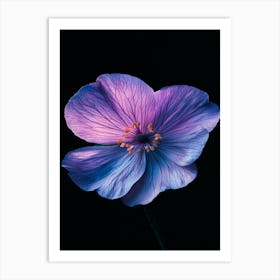 Purple Flower Art Print