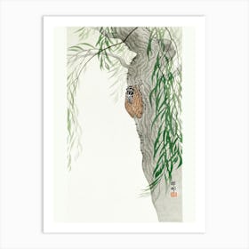 Cicada On Tree (1900 1936), Ohara Koson Art Print