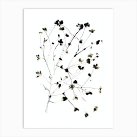 'Flora' Art Print