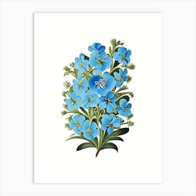 Forget Me Not 3 Floral Botanical Vintage Poster Flower Art Print